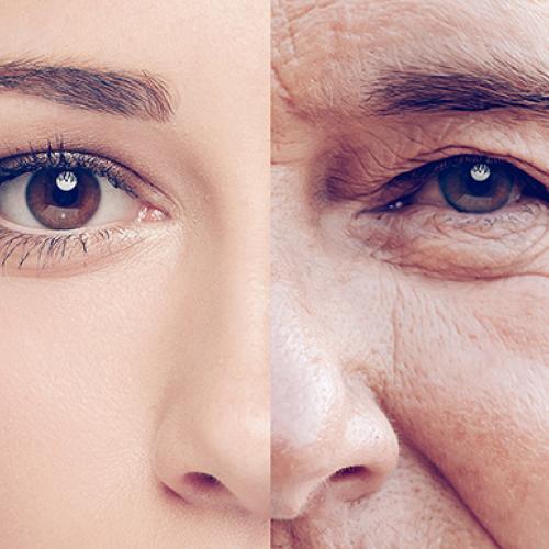 Why we need Collagen? ทำไมต้องทานคอลลาเจน?